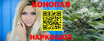 сатива Заводоуковск