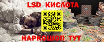 шишки Дубна