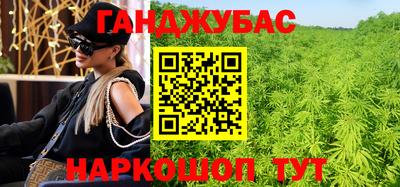 шишки Дубна