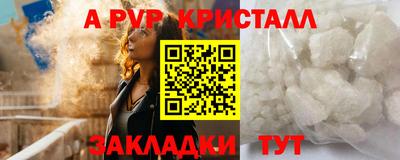 шишки Дубна